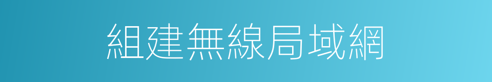 組建無線局域網的同義詞