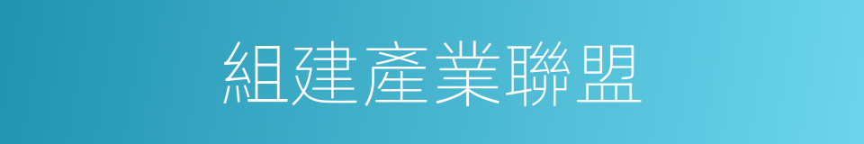 組建產業聯盟的同義詞