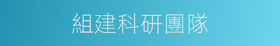 組建科研團隊的同義詞