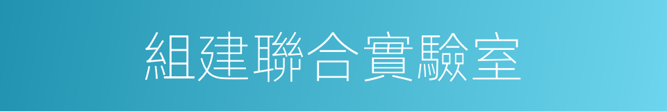 組建聯合實驗室的同義詞