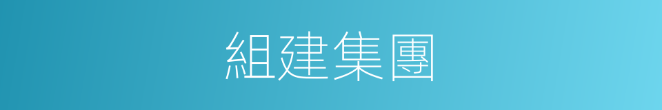 組建集團的同義詞