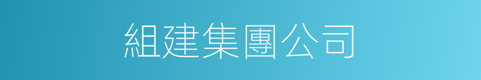 組建集團公司的同義詞