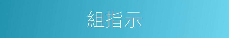 組指示的同義詞