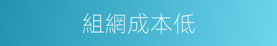 組網成本低的同義詞