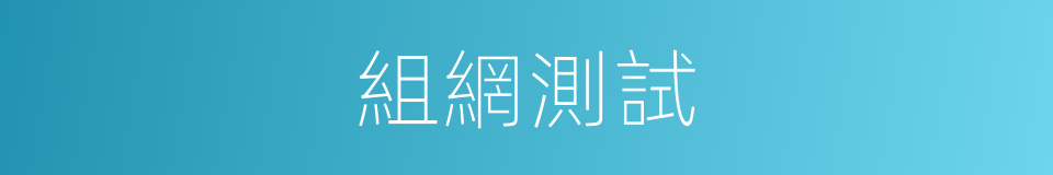 組網測試的同義詞