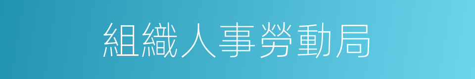 組織人事勞動局的同義詞