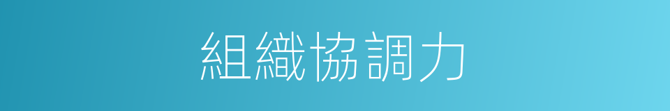 組織協調力的同義詞