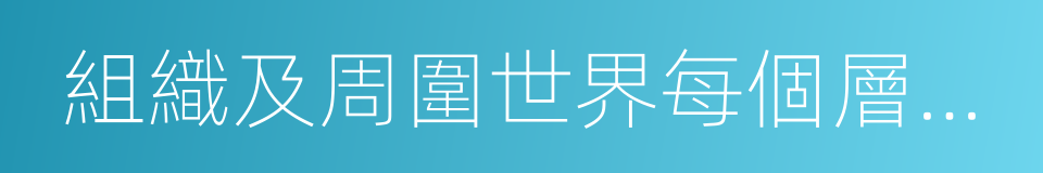 組織及周圍世界每個層面的假設的同義詞