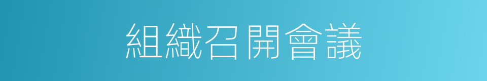 組織召開會議的同義詞