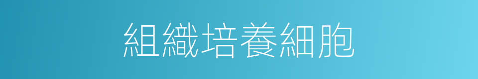 組織培養細胞的同義詞