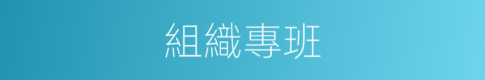 組織專班的同義詞