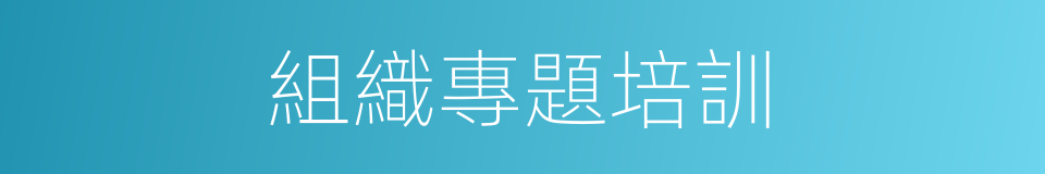 組織專題培訓的同義詞