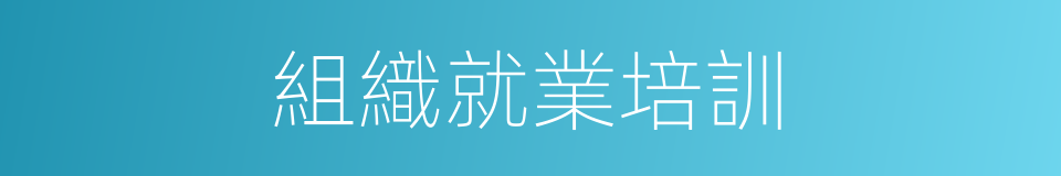 組織就業培訓的同義詞