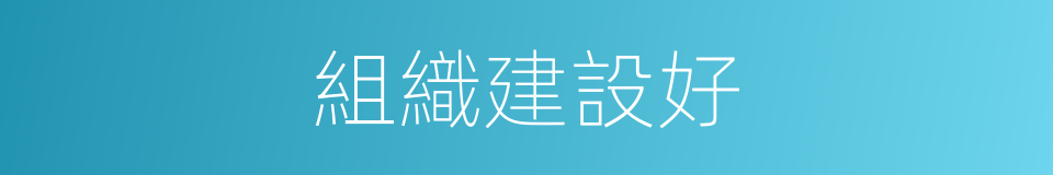 組織建設好的同義詞