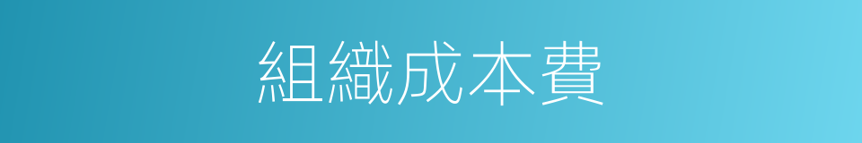 組織成本費的同義詞