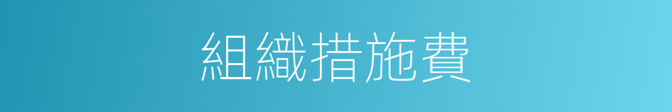 組織措施費的同義詞