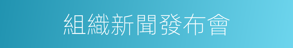 組織新聞發布會的同義詞