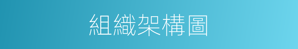 組織架構圖的同義詞