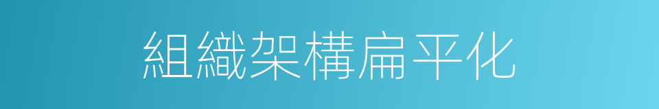 組織架構扁平化的同義詞