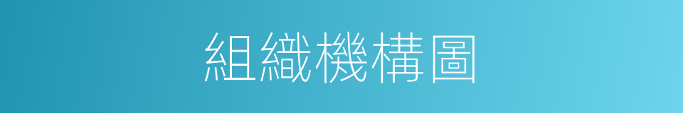 組織機構圖的同義詞