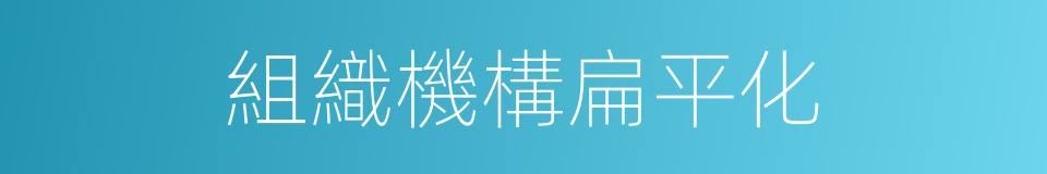 組織機構扁平化的同義詞