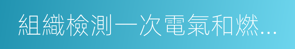 組織檢測一次電氣和燃氣線路設施的同義詞