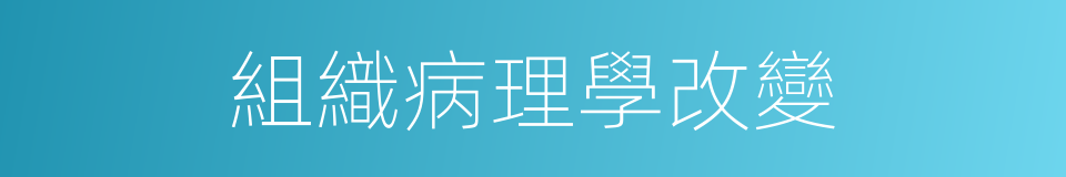 組織病理學改變的同義詞