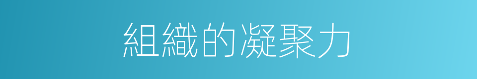 組織的凝聚力的同義詞