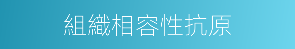 組織相容性抗原的同義詞