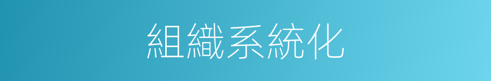 組織系統化的同義詞