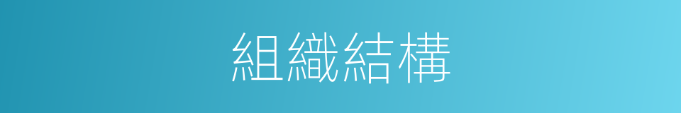 組織結構的意思