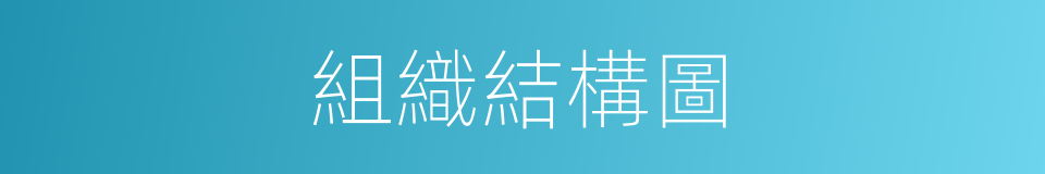 組織結構圖的同義詞