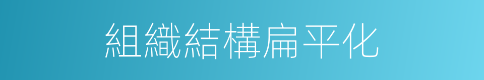 組織結構扁平化的同義詞