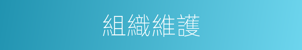 組織維護的同義詞