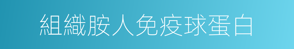 組織胺人免疫球蛋白的同義詞