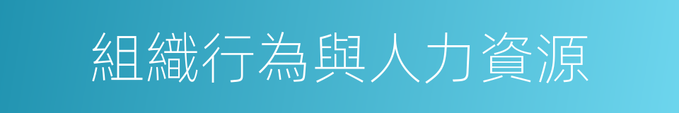 組織行為與人力資源的同義詞