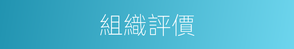 組織評價的同義詞