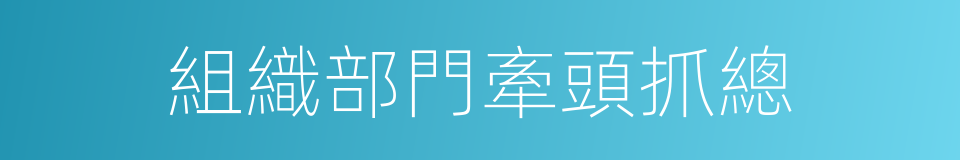 組織部門牽頭抓總的同義詞