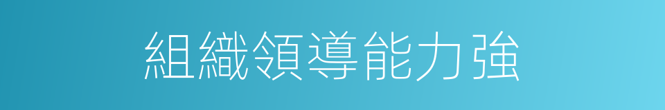 組織領導能力強的同義詞