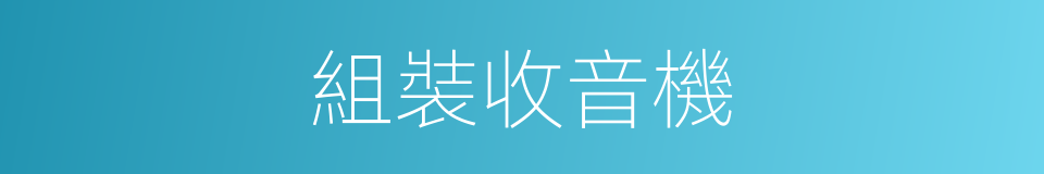 組裝收音機的同義詞