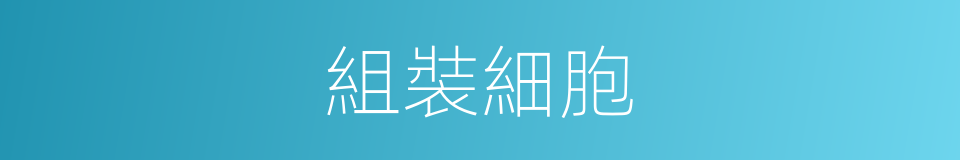 組裝細胞的同義詞