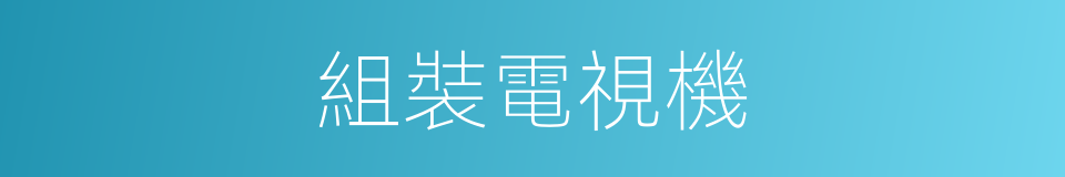 組裝電視機的同義詞
