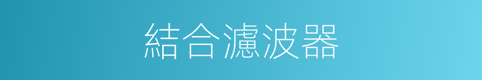 結合濾波器的同義詞
