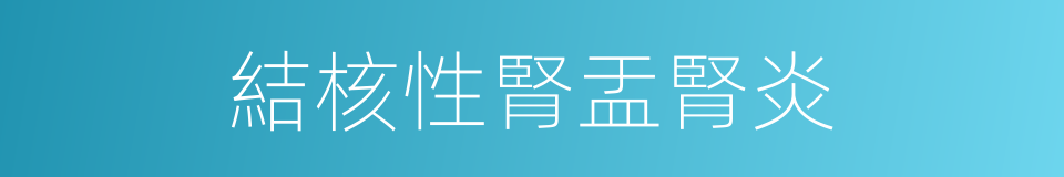結核性腎盂腎炎的同義詞