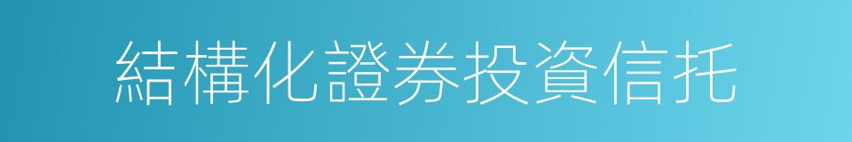 結構化證券投資信托的同義詞