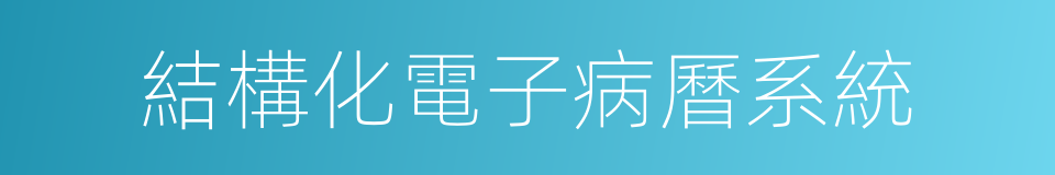 結構化電子病曆系統的同義詞