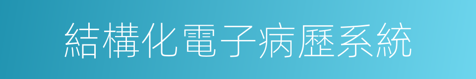 結構化電子病歷系統的同義詞