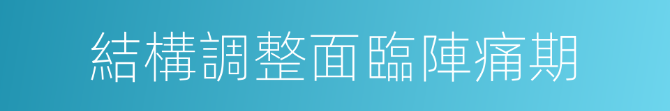 結構調整面臨陣痛期的同義詞