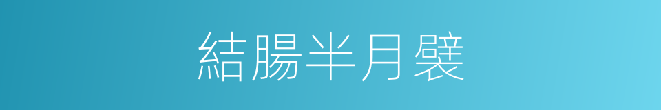 結腸半月襞的同義詞