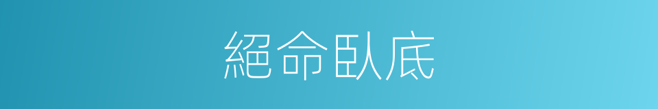 絕命臥底的同義詞